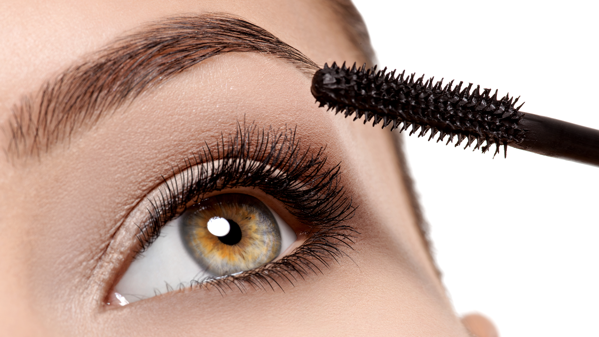 lashes-hero